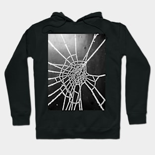 Spider Lace 4 Hoodie